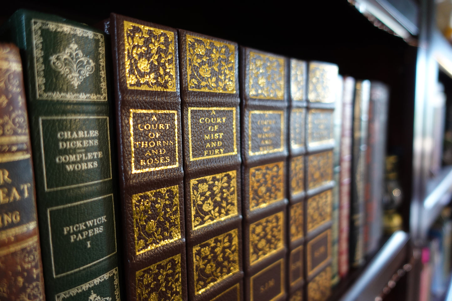 A Court of Thorns and Roses - Leatherbound