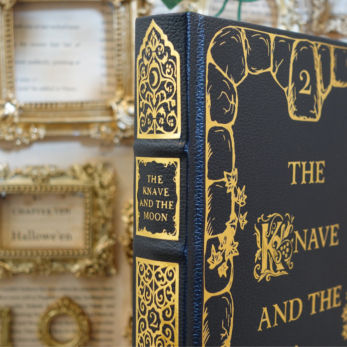 The Stonewater Kingdom duology - leatherbound rebind