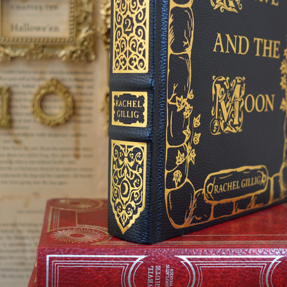 The Stonewater Kingdom duology - leatherbound rebind