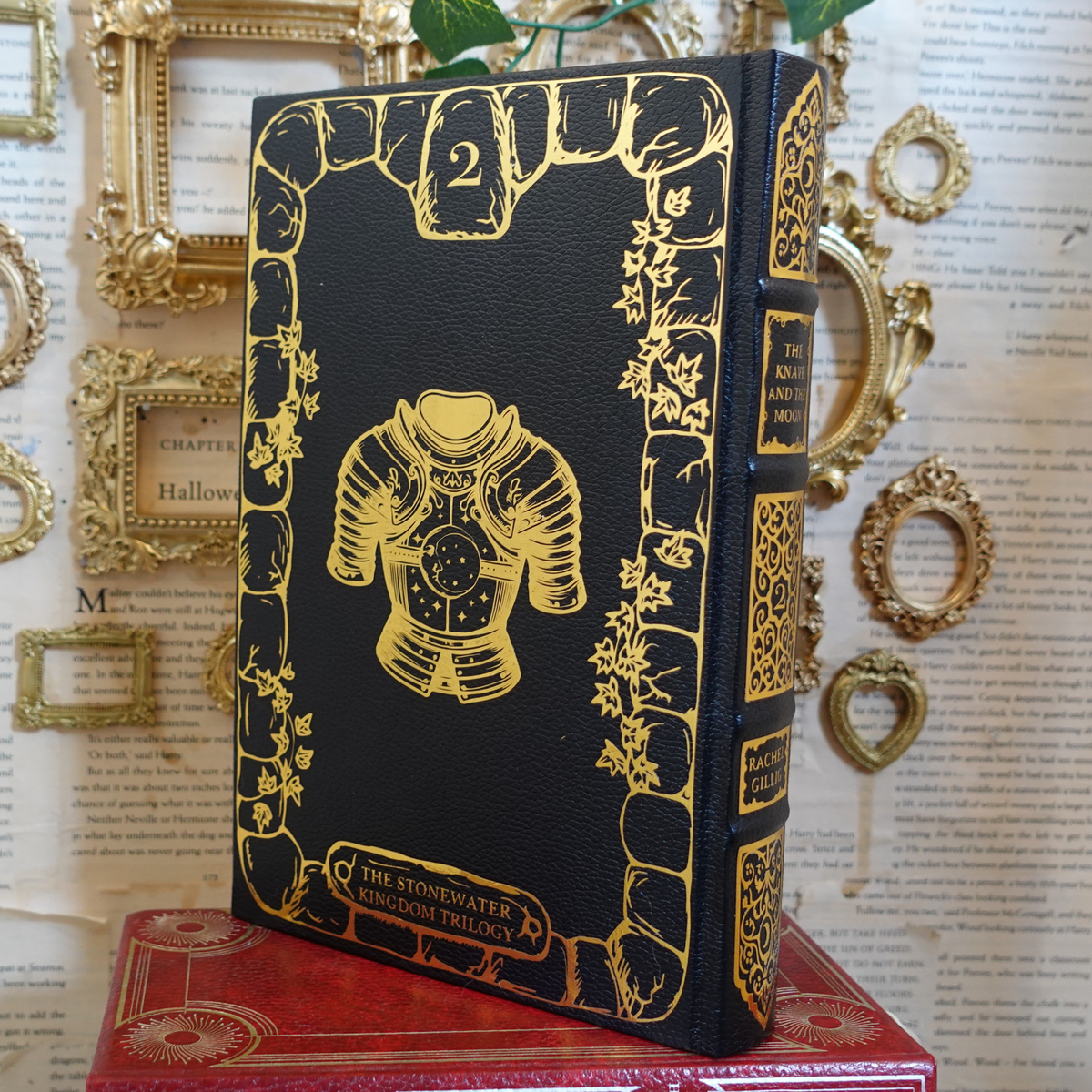 The Stonewater Kingdom duology - leatherbound rebind