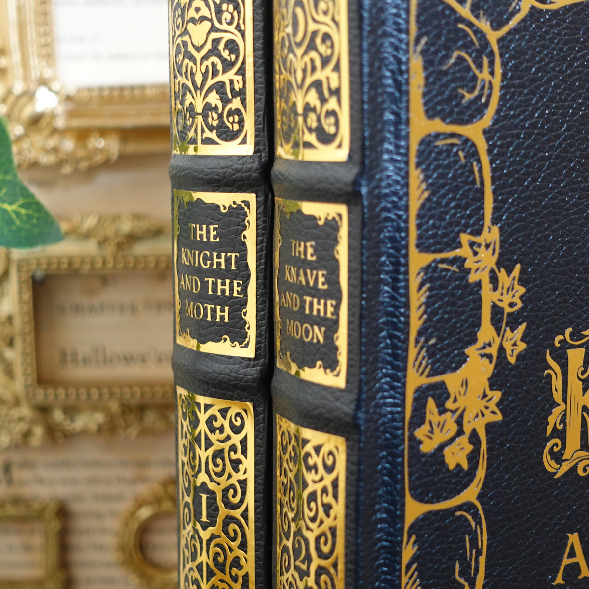 The Stonewater Kingdom duology - leatherbound rebind