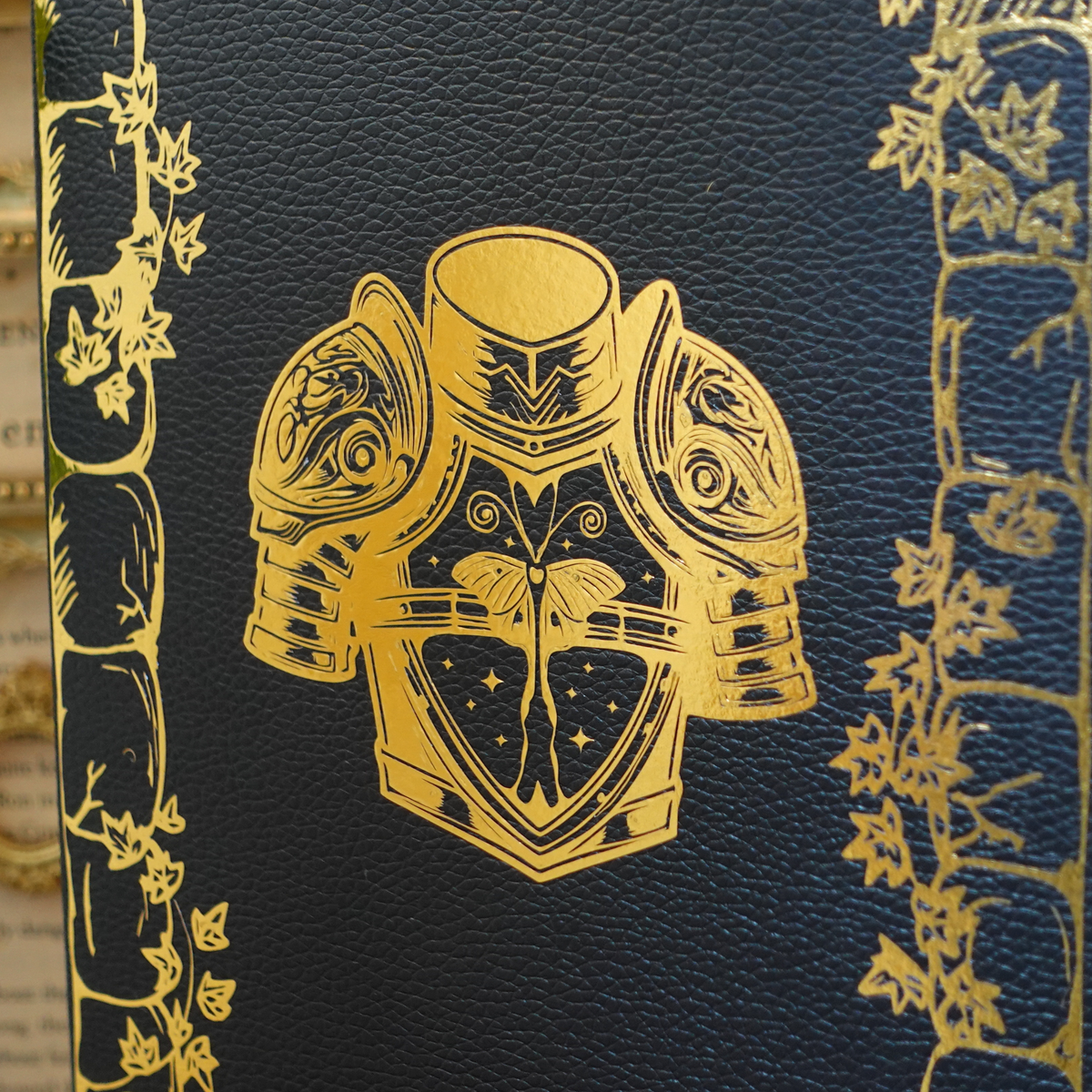 The Stonewater Kingdom duology - leatherbound rebind
