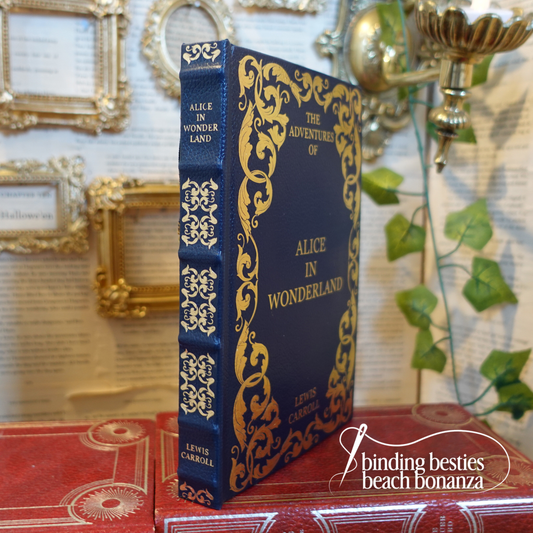 Alice in Wonderland - Binding Besties Beach Bonanza