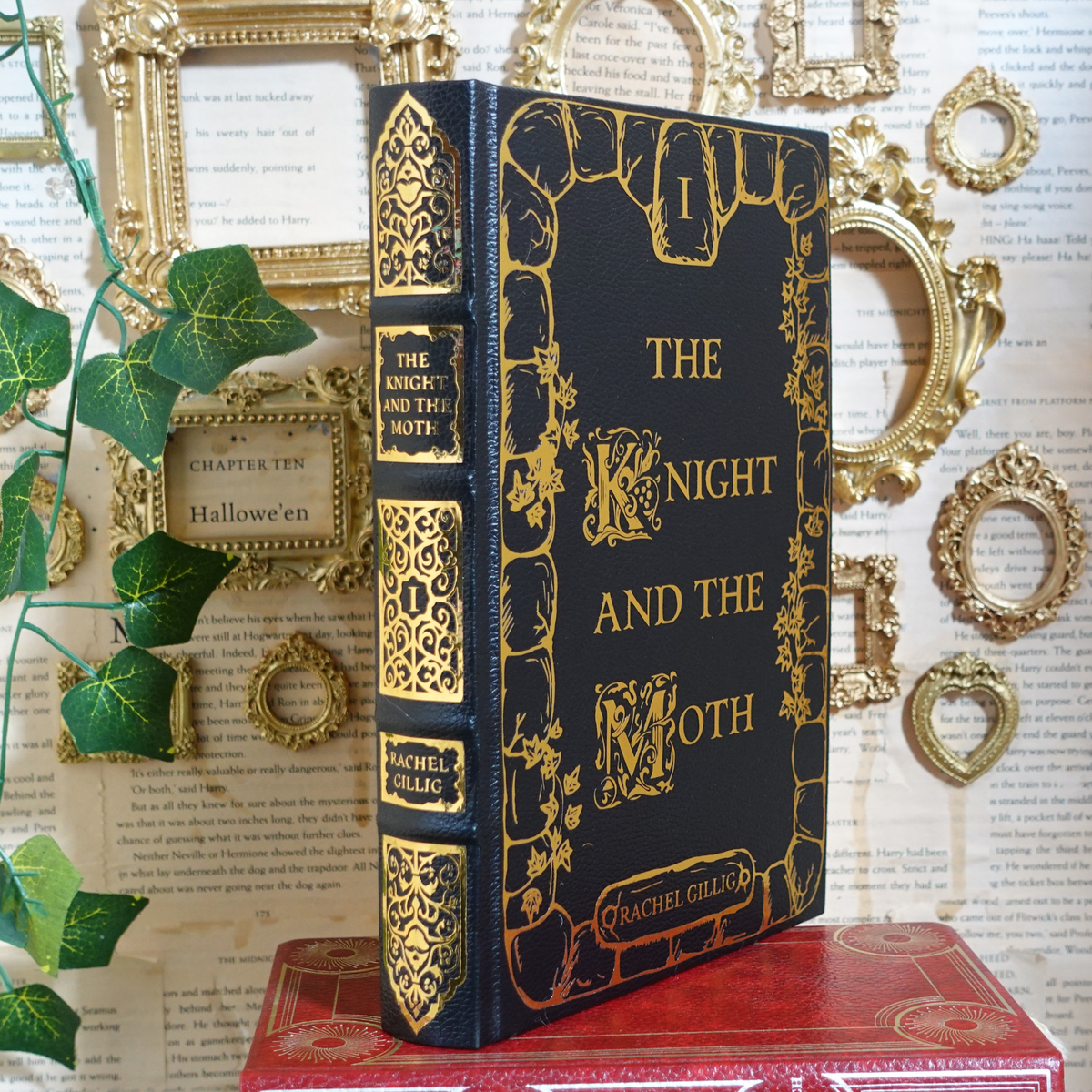 The Stonewater Kingdom duology - leatherbound rebind