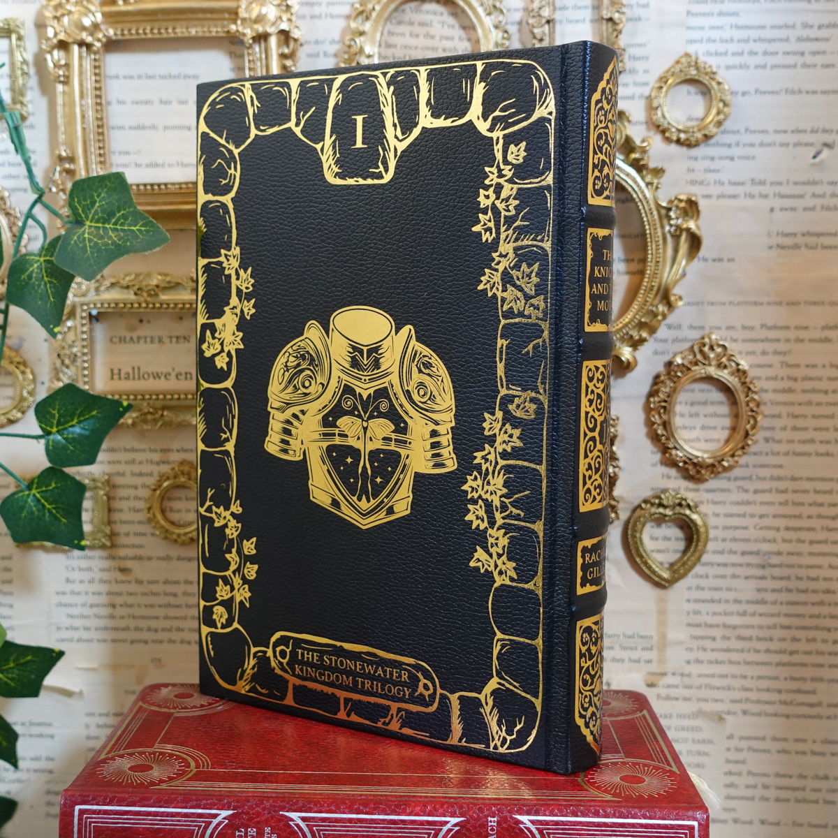 The Stonewater Kingdom duology - leatherbound rebind