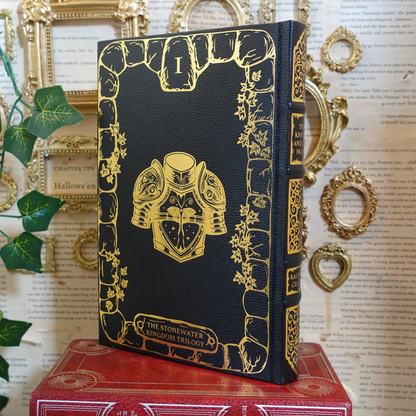 The Stonewater Kingdom duology - leatherbound rebind
