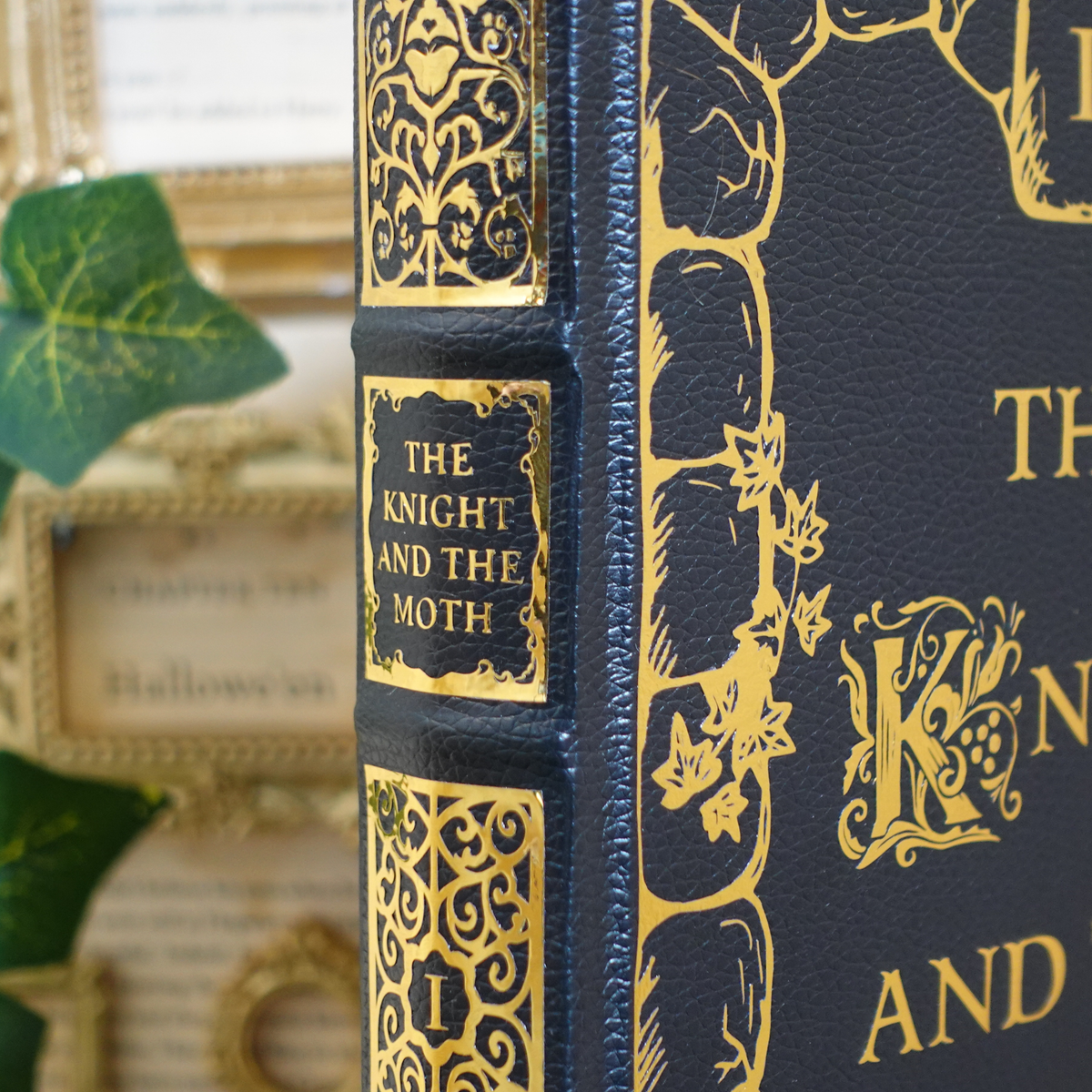 The Stonewater Kingdom duology - leatherbound rebind