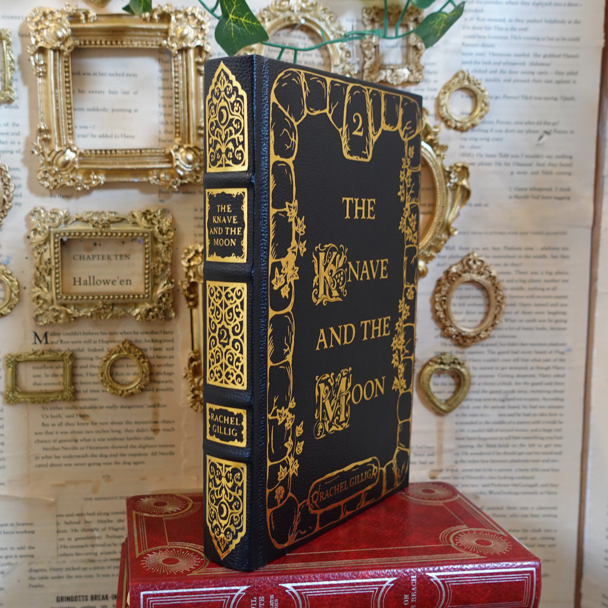 The Stonewater Kingdom duology - leatherbound rebind