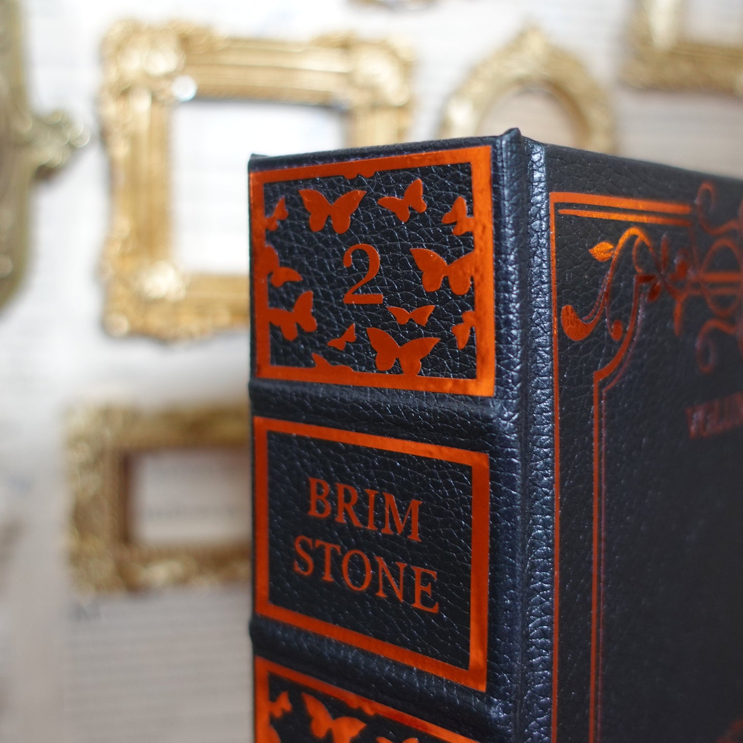 Fae & Alchemy - Quicksilver and Brimstone - leatherbound