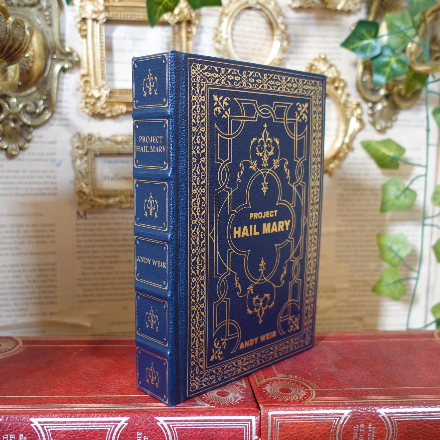 Project Hail Mary rebound in faux leather with gold design