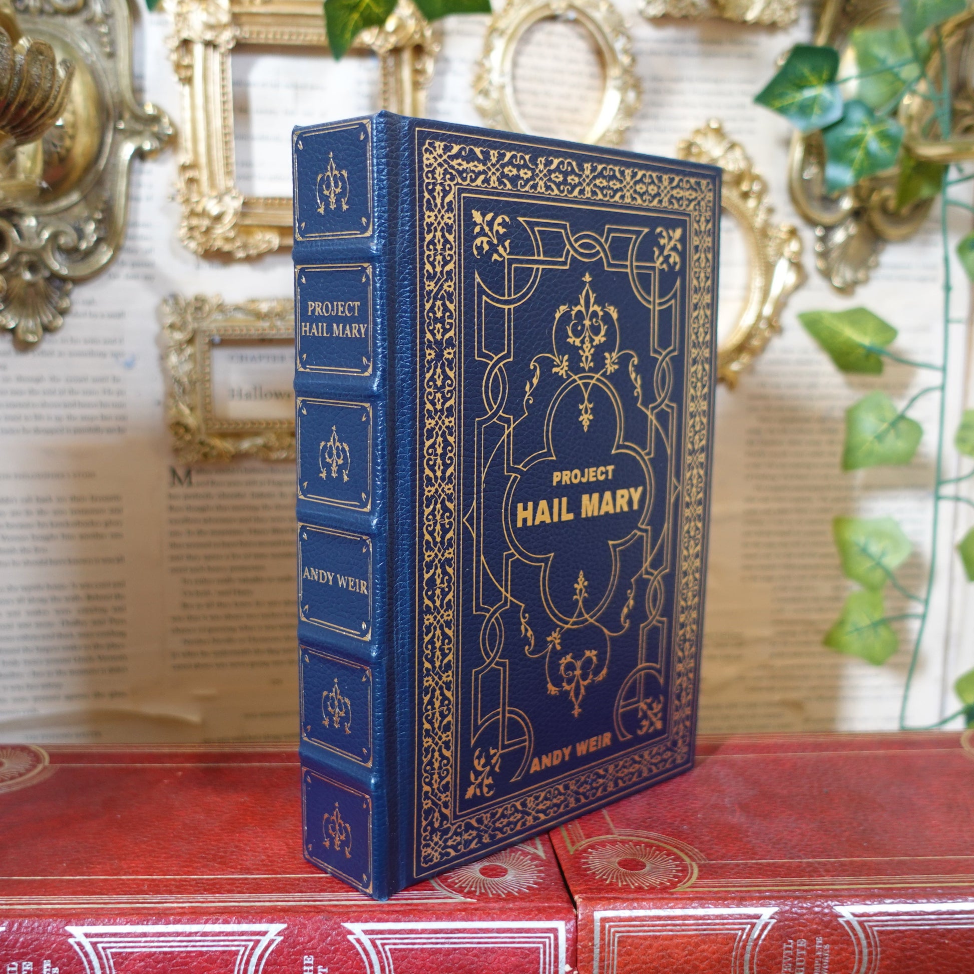 Project Hail Mary rebound in faux leather with gold design