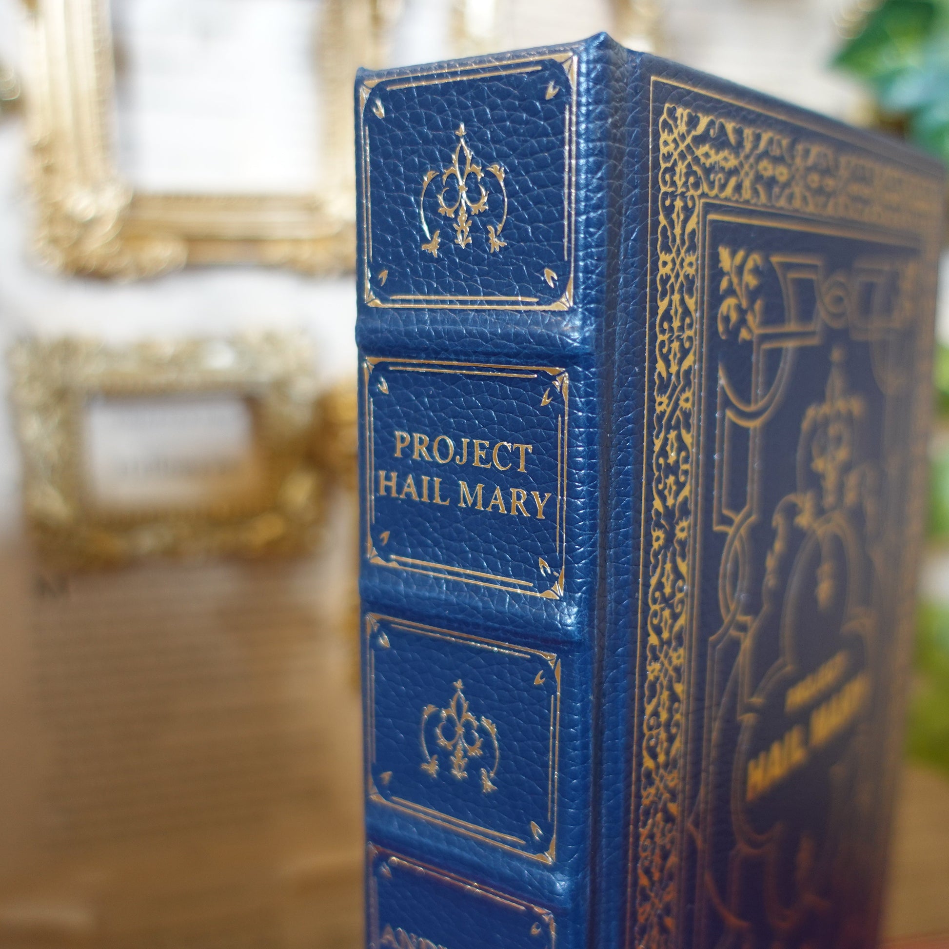 Blue book titled 'Project Hail Mary' with decorative cover against a blurred background