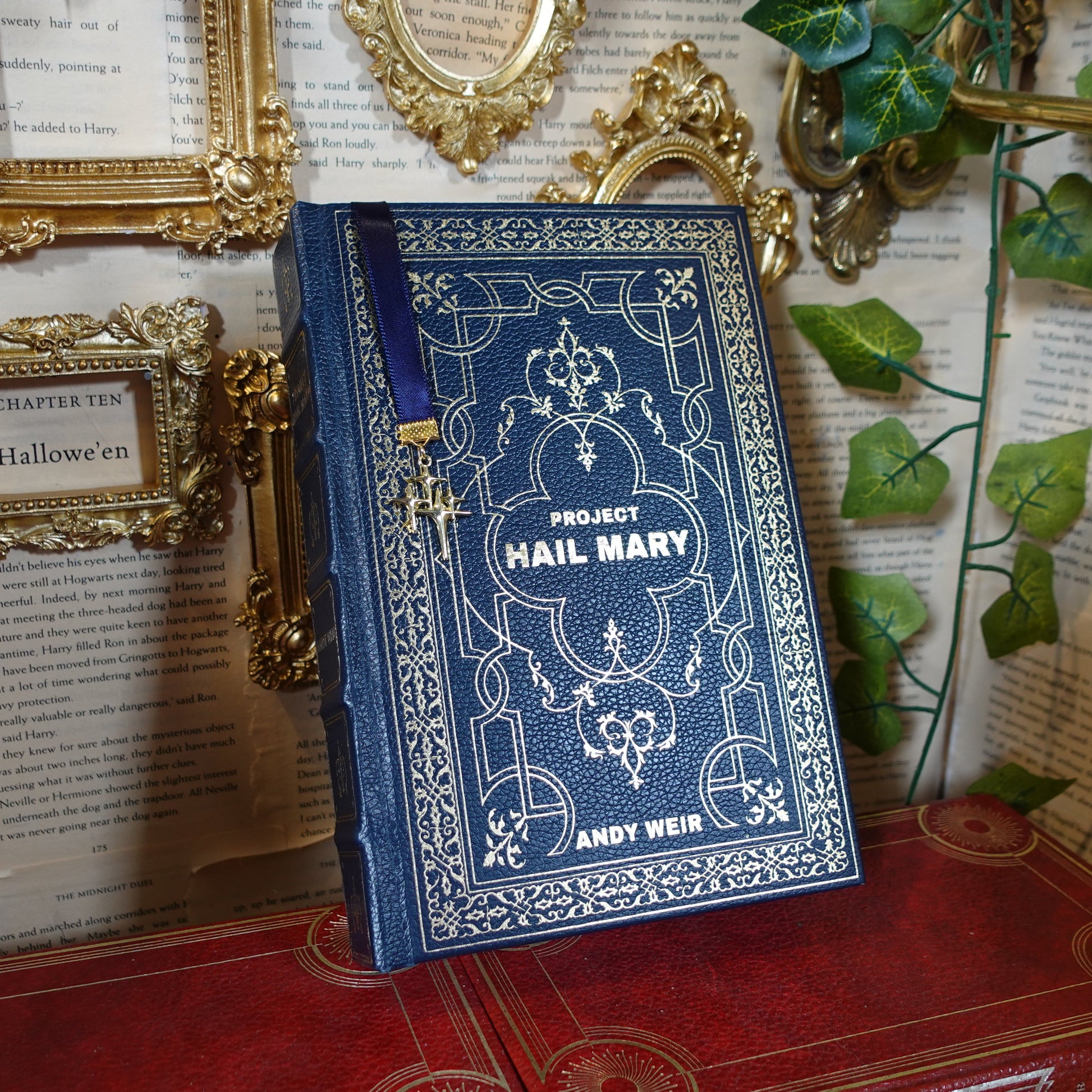 Leatherbound Project Hail Mary special edition